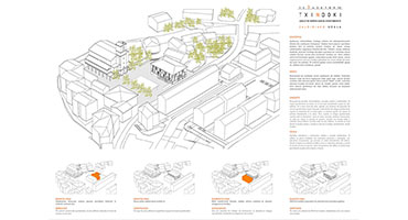 Concurso de ideas Ayuntamiento Zaldivia (San Sebastin)